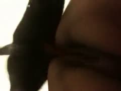 A dog giving a fat doxy anal